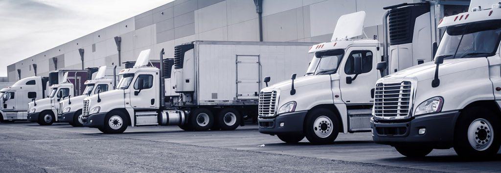 Fleet Management Solutions for Logistics